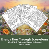 Energy Flow Through Ecosystems Word Wall Coloring Sheets (6 pgs.)
