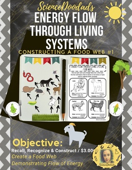 Preview of Energy Flow Through Living Systems - Constructing a Food Web