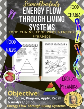 Preview of Energy Flow Through Living Systems - Food Chains, Food Webs, and Energy Pyramids
