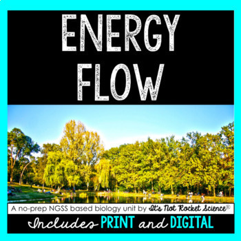 Preview of Energy Flow Unit
