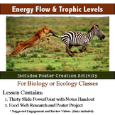 Energy Flow and Trophic Levels Lesson and Activity