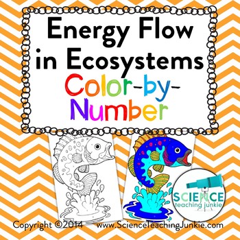 Preview of Energy Flow in Ecosystems Color-by-Number