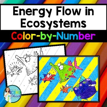 Preview of Energy Flow in Ecosystems Color-by-Number