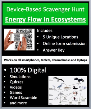Preview of Energy Flow in Ecosystems - Device-Based Scavenger Hunt Activity -Join the Hunt!