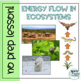 Energy Flow in Ecosystems - Distance Learning No Prep Lesson