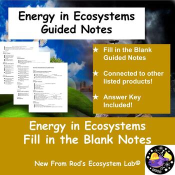 Preview of Energy Flow in Ecosystems Fill in the Blank Guided Notes w/Answer Key *Editable*