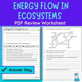 Preview of Energy Flow in Ecosystems PDF Worksheet | Food Chains, Food Webs, Trophic Levels