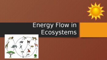 Preview of Energy Flow in Ecosystems PowerPoint