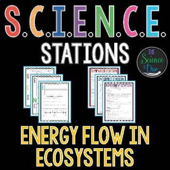 Preview of Energy Flow in Ecosystems - S.C.I.E.N.C.E. Stations