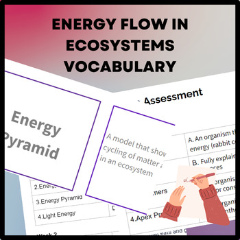 Preview of Energy Flow in Ecosystems Vocabulary
