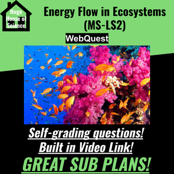 Preview of Energy Flow in Ecosystems WebQuest (MS-LS2) GREAT SUB PLANS!