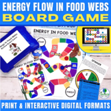 Flow of Energy in a Food Web - Producers & Consumers Revie