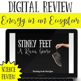 Energy Flow in an Ecosystem Science Review Game - Stinky F