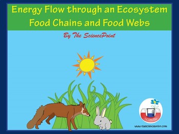 Preview of Energy Flow Through an Ecosystem