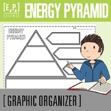 Energy Pyramid Graphic Organizer Template- No Prep! Printable and Digital