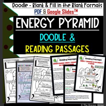 Preview of Energy Pyramid Doodle & Reading Notes | Ecology & Science Doodles PDF &  Digital