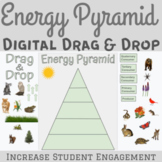 Energy Pyramid Drag and Drop Digital Activity