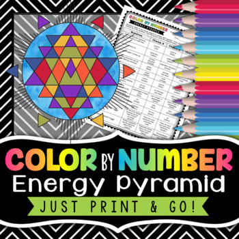 Preview of Energy Pyramid Color by Number - Science Color By Number