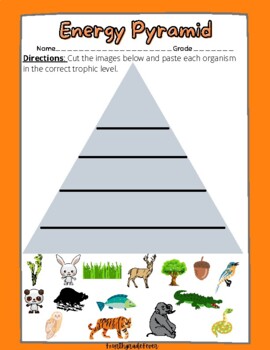 Energy Pyramid (Ecosystem Unit) by FourthGradeFever Dual Language