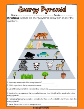 Energy Pyramid (Ecosystem Unit) by FourthGradeFever Dual Language