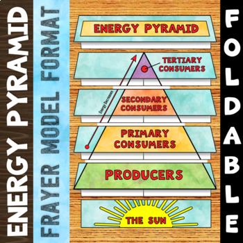 Preview of Energy Pyramid Foldable - Great for Interactive Notebooks