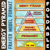 Energy Pyramid Foldable - Great for Interactive Notebooks
