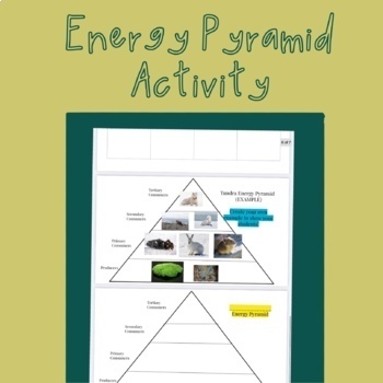 Energy Pyramid Google Slides Activity by Mariela Valverde-Palmer Teaching