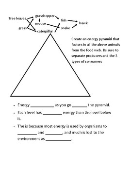 Energy Pyramid Practice Worksheet by Albino Squirrel Science | TpT