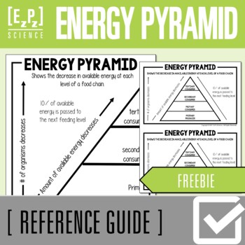 Preview of Energy Pyramid Science Anchor Charts | Posters | Reference Guides