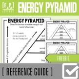 Energy Pyramid Science Poster, Anchor Chart and Reference Guide