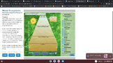 Energy Pyramid Virtual Lab ( Complete one Energy Pyramid p