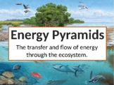 Energy Pyramids (with chain and web review)