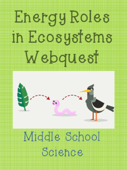 Preview of Energy Roles in Ecosystems Webquest