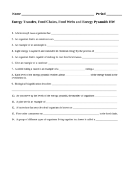 Preview of Energy Transfer, Food Chains, Food Webs and Energy Pyramids HW
