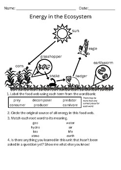 Energy Transfer in Ecosystems Assessment - Food Webs | TPT