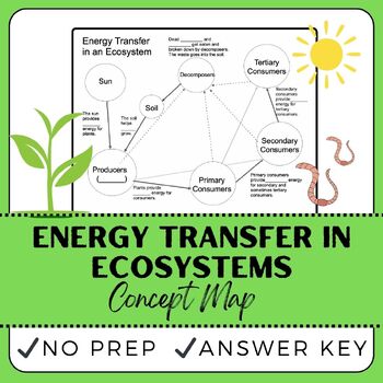 Ecosystem Concept Map Worksheets Teaching Resources Tpt