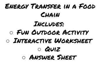 Preview of Energy Transfer in a Food Chain Water Activity