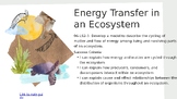 Energy Transfer in an Ecosystem