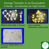 Energy Flow in Ecosystems Bundle - Hands on -Food Chains, 