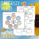 Energy Web Worksheet | Middle School Science