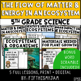 Energy and Matter in an Ecosystem | Full Unit Science BUNDLE
