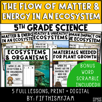 Preview of Energy and Matter in an Ecosystem | Full Unit Science BUNDLE