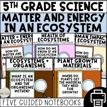 Preview of Energy and Matter in an Ecosystem | Printable Notebook ONLY Bundle