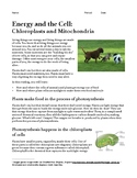 Energy and the Cell: Chloroplasts and Mitochondria