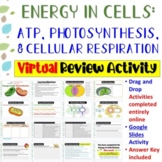 Energy in Cells: Photosynthesis & Cellular Respiration * D