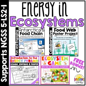 Preview of Energy in Ecosystems Bundle {Covers NGSS 5-LS2}