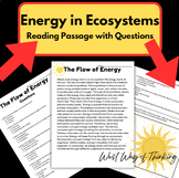 Flow of Energy in Ecosystems- Reading Passage with Questions