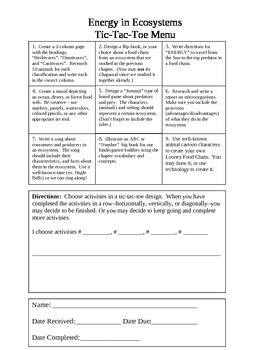 Preview of Energy in Ecosystems Tic Tac Toe