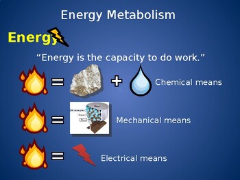 Preview of Energy metabolism