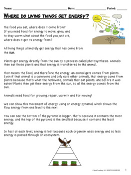 Energy Pyramid worksheets, Cut and Paste,Reading Passage, Matching